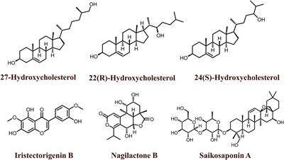 Liver X Receptors (LXRs) in cancer-an Eagle’s view on molecular insights and therapeutic opportunities